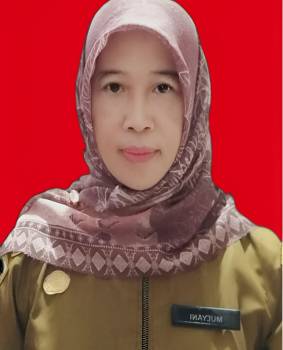 Profil